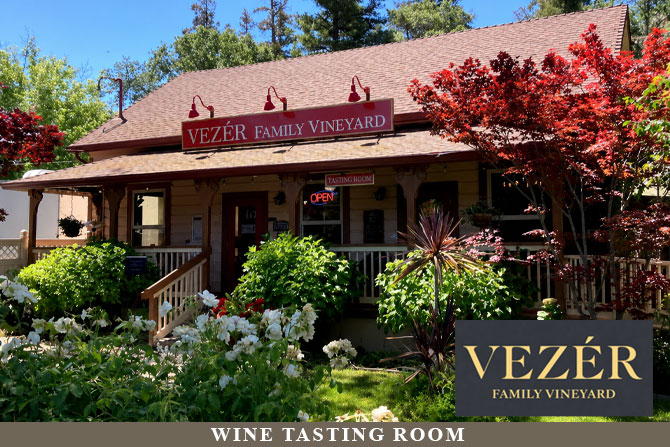 Wine-Tasting-Room